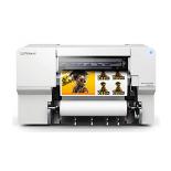Eco-Solvent and Sublimation Printers